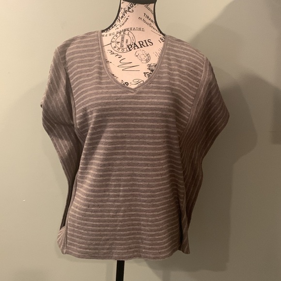 Pure Jill J. Jill V-Neck Short Sleeve Batwing Top Brown Women’s Small Petite - Picture 1 of 6